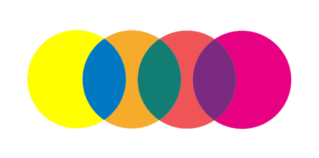 Mind Body Health & Politics